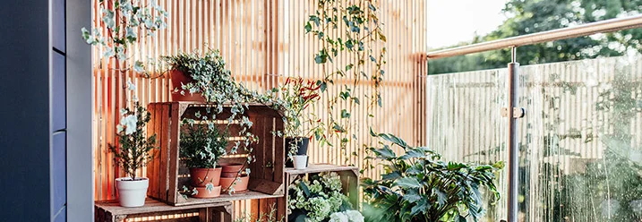 Ein mit Pflanzen dekorierter Balkon.